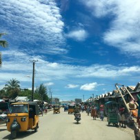 New Life and a Chance for New Beginnings… January News