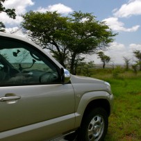 On the Road