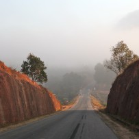 Death in Madagascar
