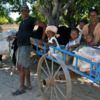 Transportation
