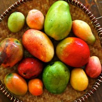 Mangoes!