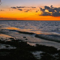 WITH LOVE FROM MADAGASCAR… a must-see video!