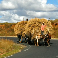 Sites of the Road