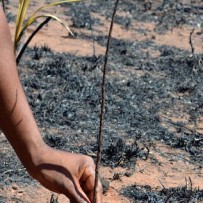 Putting Out Fires– April News