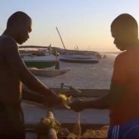 Madagascar Freedom Project