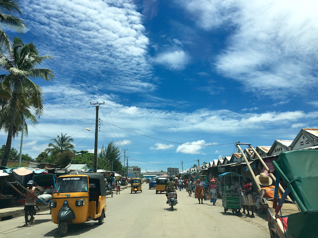 New Life and a Chance for New Beginnings… January News