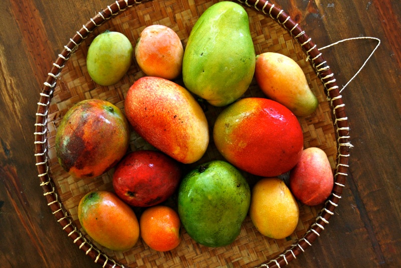 Mangoes!