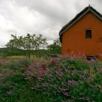 Picture of the Week (POTW)