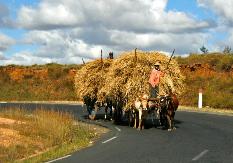 Sites of the Road