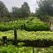 African Rains…