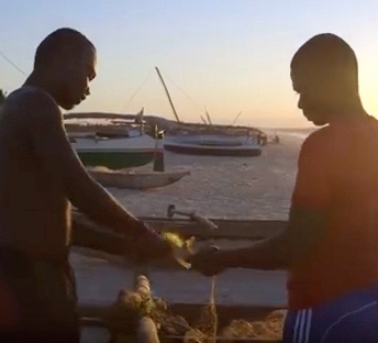 Madagascar Freedom Project